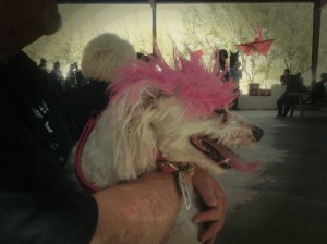 People at the highland games