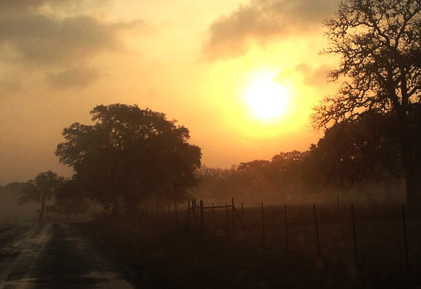 Early morning back road in Boerne Texas taken by Brandi Quinn