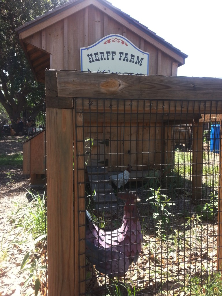 Happy chickens give you the best eggs! 