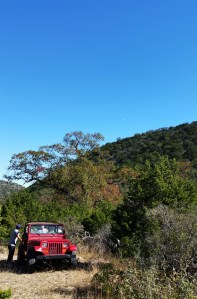 Hunting lease across for Garner State Park