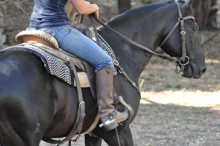 H – Horse. If I were Queen every little girl would get a&nbsp;pony!