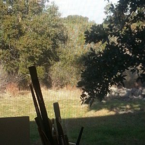 The view from the corner of my creative space