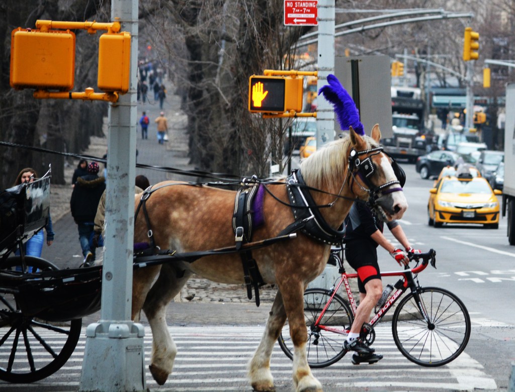 Sensory overload in New York City.