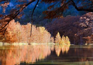 Fall foliage on the Frio River