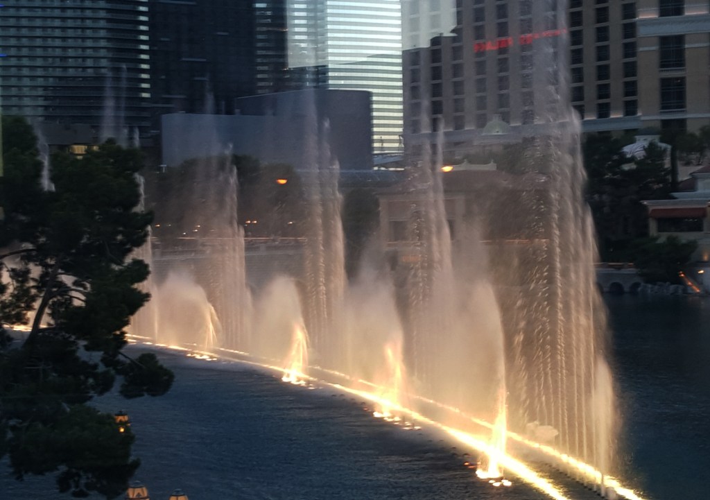 The Water Fountain at the Bellagio is worth the time to see.  - Jolene Navarro