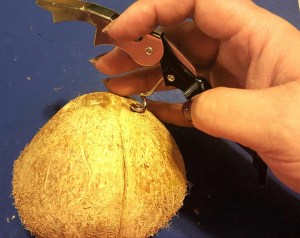 You can use a cork-screw or a Philips screw-driver with a hammer to punch holes in the three "eyes" of the coconut.
