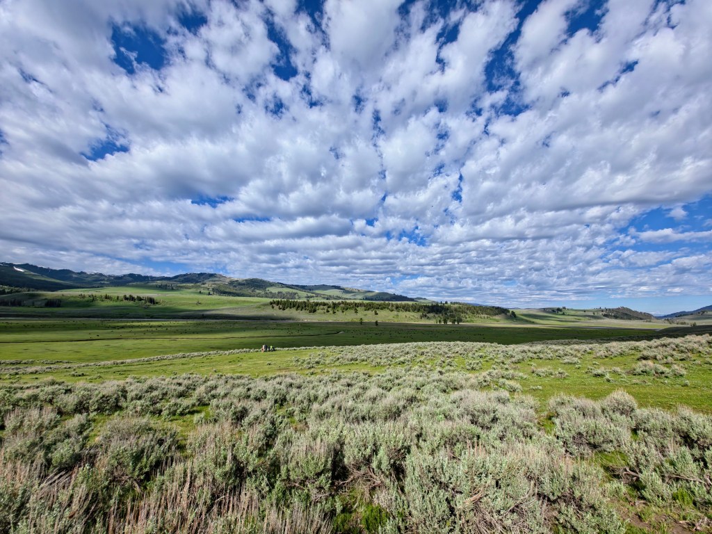 Exploring Yellowstone: The Ultimate Scenic Road&nbsp;Trip