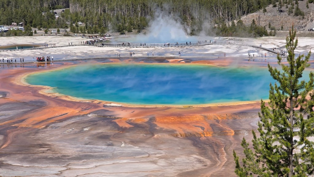 One Memorable Day in Yellowstone: The Ultimate 12-Stop&nbsp;Loop