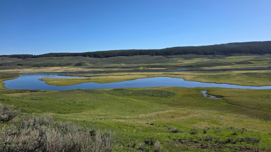 Hayden Valley